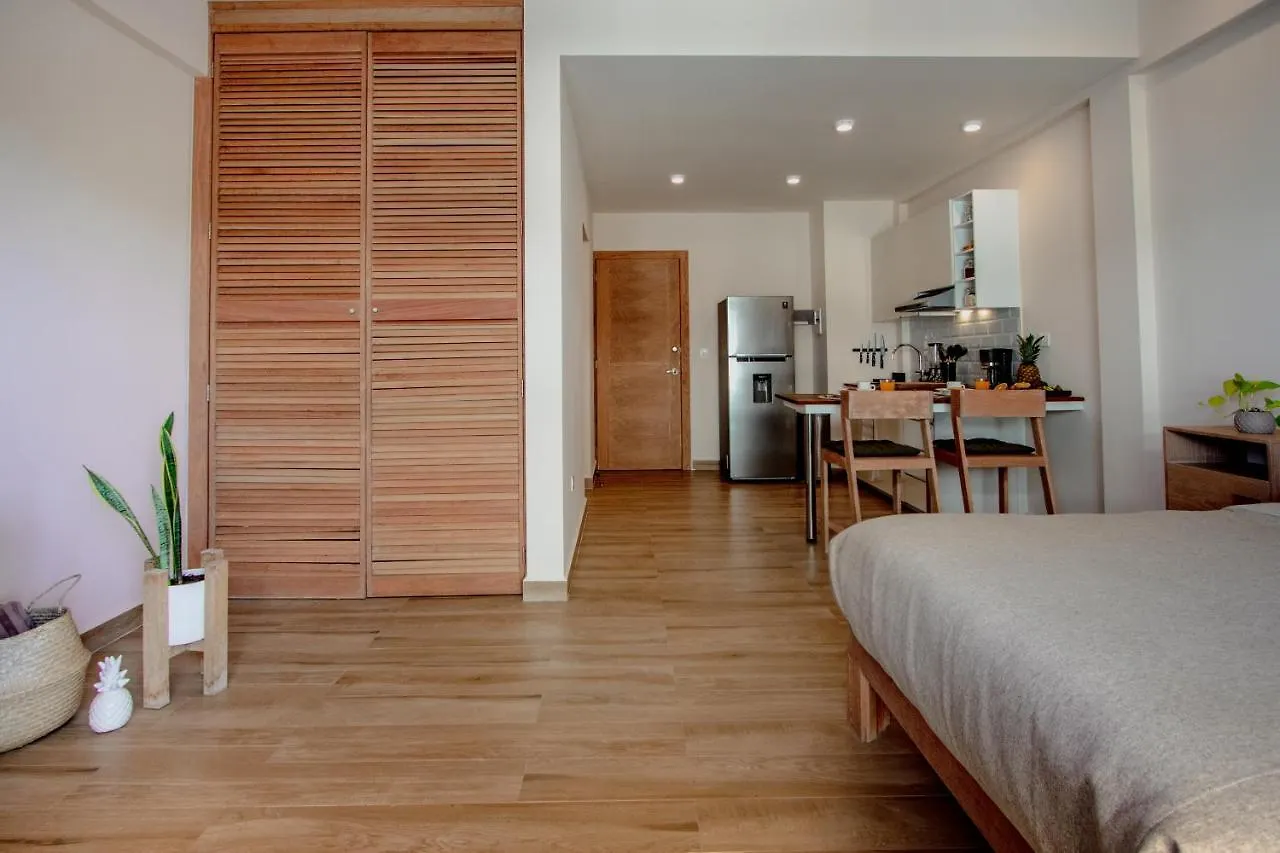 Condos With Ocean View Pool In Av 10 & 60 Street Playa del Carmen Apartment