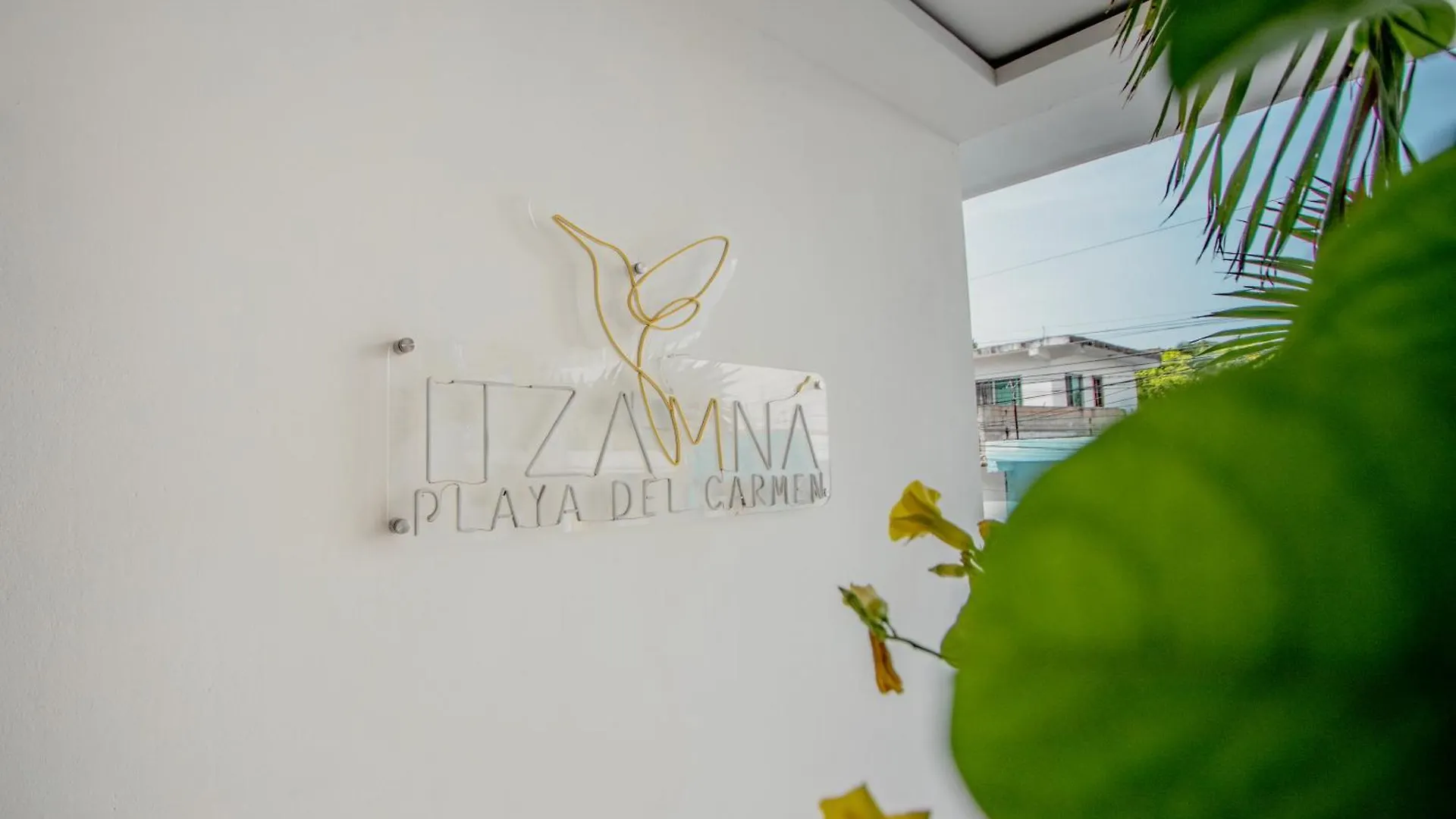 Condos With Ocean View Pool In Av 10 & 60 Street Playa del Carmen 0*,  Mexique
